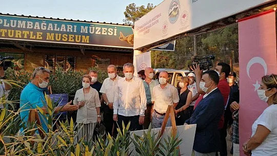 TEDAVİLERİ TAMAMLANAN CARETTA CARETTALAR DENİZE BIRAKILDI