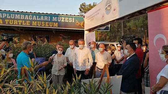 TEDAVİLERİ TAMAMLANAN CARETTA CARETTALAR DENİZE BIRAKILDI
