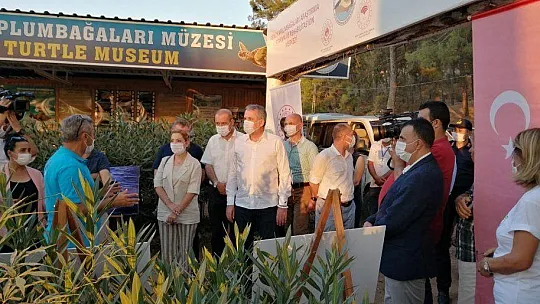 TEDAVİLERİ TAMAMLANAN CARETTA CARETTALAR DENİZE BIRAKILDI