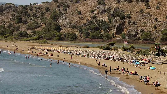 Caretta yuva sayısı 600'e ulaştı