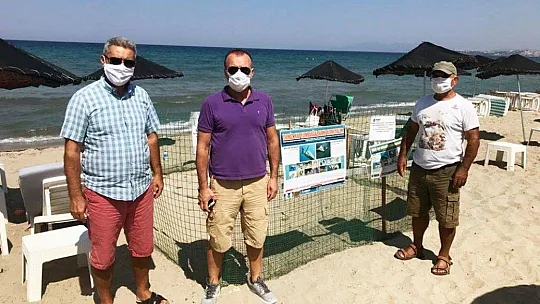 Caretta yuvalama alanları genişliyor