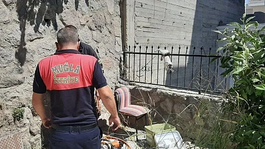 Çatıdan atlayan kedi demir parmaklıklara saplandı