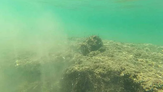 Çayırlara verilen tahribat görüntülendi