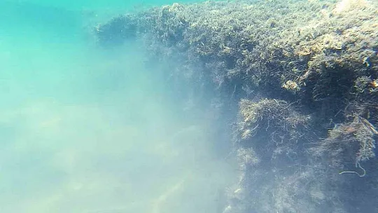 Çayırlara verilen tahribat görüntülendi