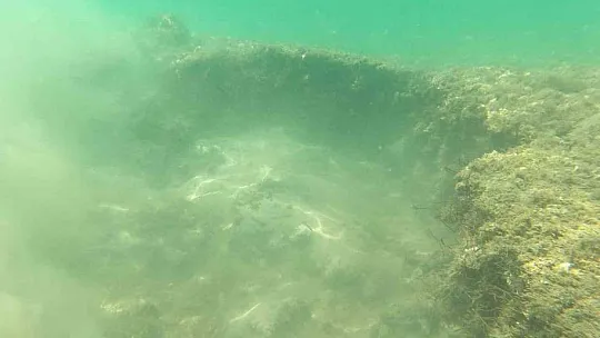 Çayırlara verilen tahribat görüntülendi