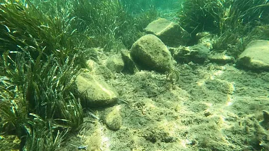 Çayırlara verilen tahribat görüntülendi