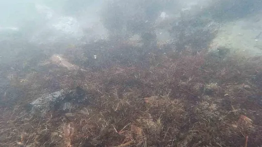 Çayırlara verilen tahribat görüntülendi