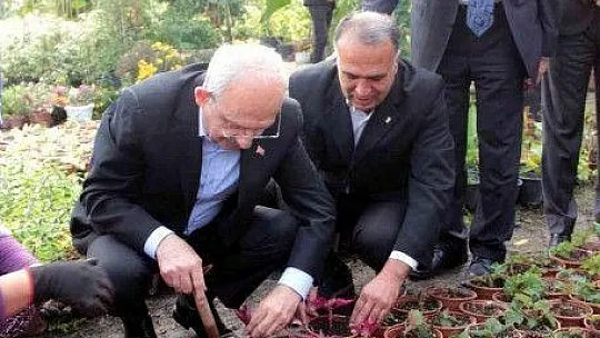 CHP Genel Başkanı Kılıçdaroğlu kadınlarla çiçek dikti