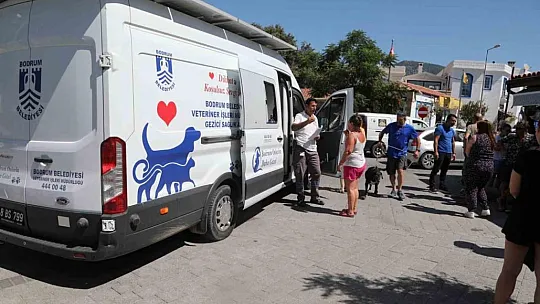 Çipleme, aşılama, genel sağlık kontrolü yapıyorlar