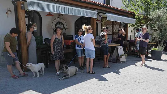 Çipleme, aşılama, genel sağlık kontrolü yapıyorlar