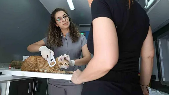 Çipleme, aşılama, genel sağlık kontrolü yapıyorlar