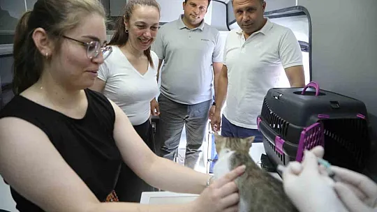 Çipleme, aşılama, genel sağlık kontrolü yapıyorlar