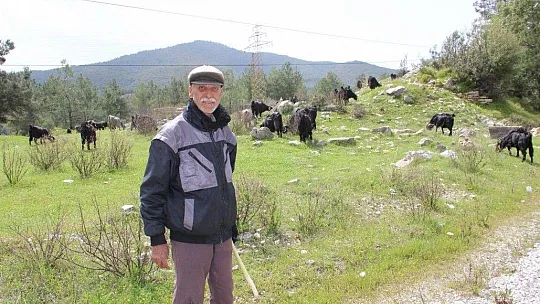 Çobanlık 'parası çok hanımı yok' mesleği oldu