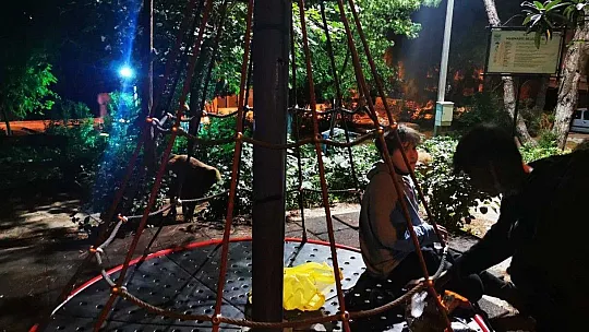 Çocuklar oyun parkına gelen yaban domuzlarını besledi