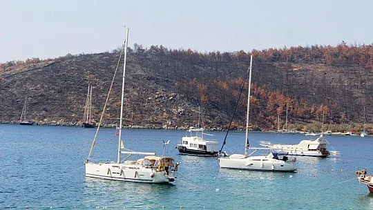 Çökertme Koyu yeniden eski günlerine kavuşuyor
