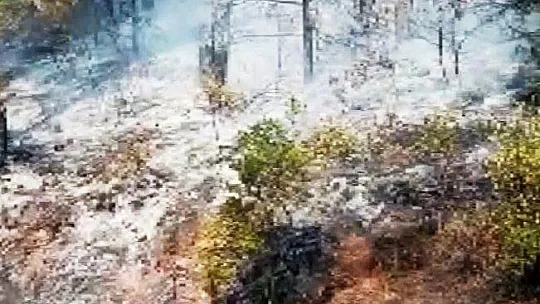 Cumhurbaşkanlığı konuk evi yolu üzerinde yangın