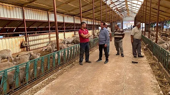 Başkan Öztürk, üreticinin sorunlarını dinledi