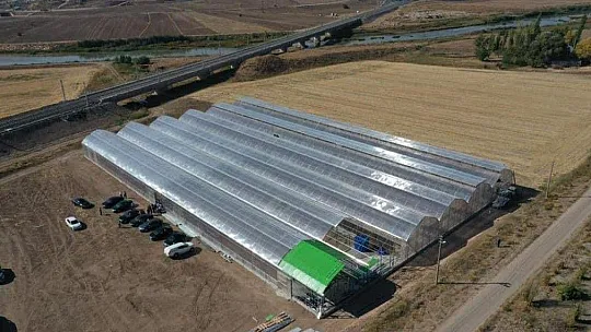 Fethiye'nin ihracat rekortmeni Sistem Sera!