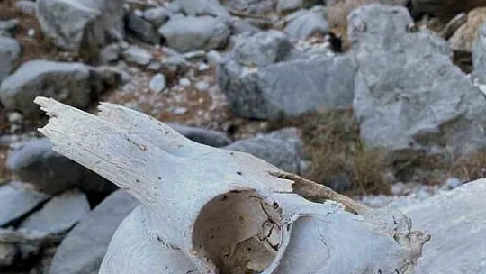 Dağcılık kulübü üyelerini hayrete düşüren avcı kulübesi