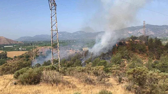 Dalaman'da orman yangını