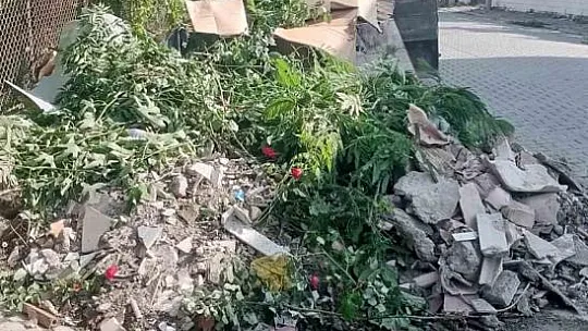 Temizlik ve düzen kampanyası başlatıldı