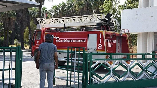 Dalaman'daki kağıt fabrikası mühürleniyor