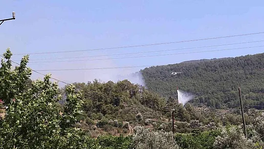 Dalaman'daki orman yangını kontrol altına alındı