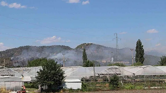 Dalaman'daki orman yangını kontrol altına alındı