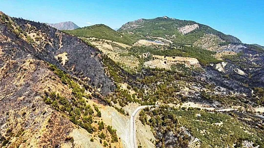 Dalaman yangını kontrol altında