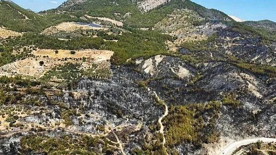 Dalaman yangını kontrol altında