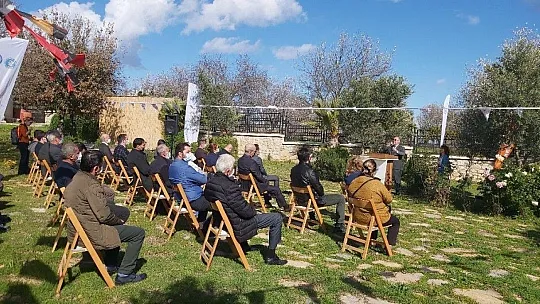 Datça Badem Çiçeği Festivali başladı