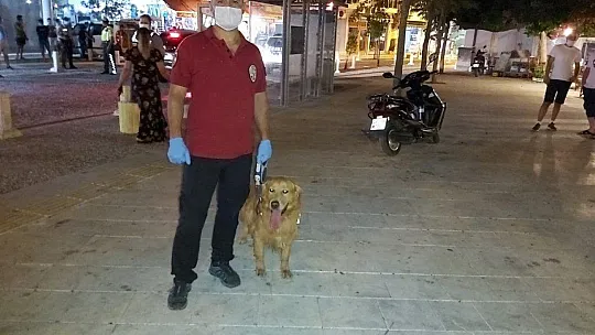 Datça'da 100 polisle dev uygulama