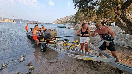 DATÇA'DA AKDENİZ FOKLARININ KORUNMASI İÇİN ÇALIŞMA BAŞLATILDI