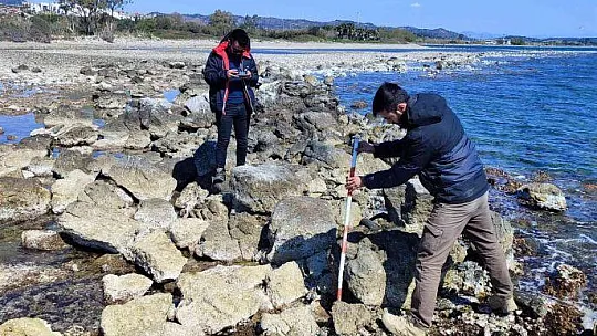 Datça'da deniz çekilince liman kalıntıları ortaya çıktı