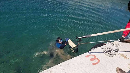 Datça'da deniz dibi temizliği yapıldı