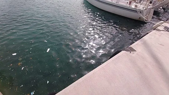 Datça'da deniz yüzeyindeki kirlilik göze çarpıyor