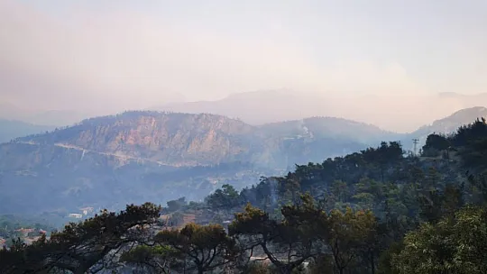 Datça'da günün ilk ışıkları ile birlikte orman yangınına havadan müdahale yeniden başladı