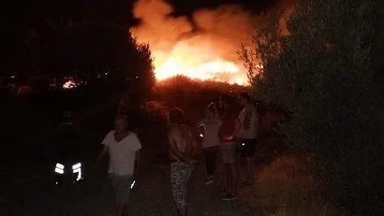 Datça'da otluk alandaki yangın söndürüldü