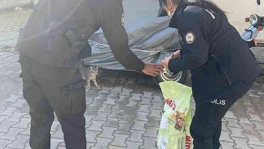 Datça'da polis ekiplerinin çalışmaları takdirle karşılanıyor