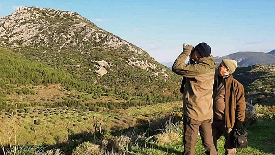 Datça'da yaban keçisi envanteri çalışması