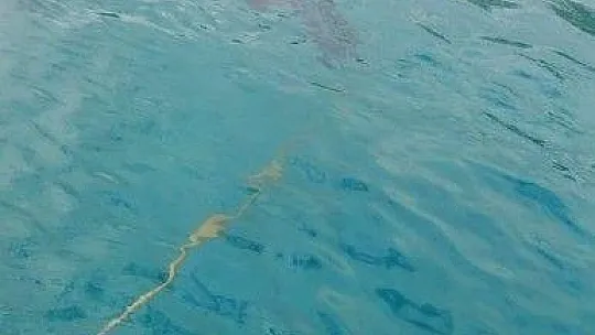 Datça'daki 4 limanda dip temizliği yapıldı
