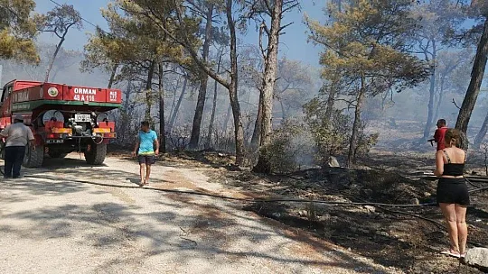Datça'daki orman yangını kontrol altına alındı