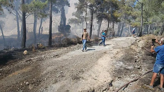 Datça'daki orman yangını kontrol altına alındı