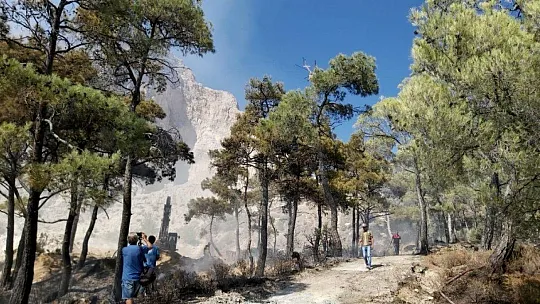 Datça'daki orman yangını kontrol altına alındı