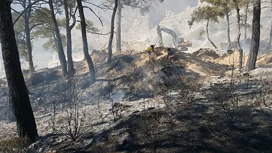 Datça'daki orman yangını kontrol altına alındı