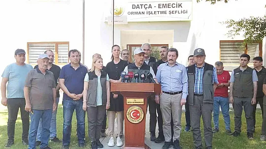 Datça'daki orman yangını kontrol altına alındı
