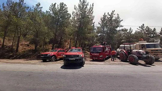 Datça'daki orman yangınına havadan ve karadan müdahale sürüyor