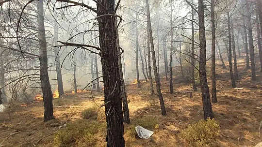 Datça'daki orman yangınına kolluk kuvvetleri de müdahale etti