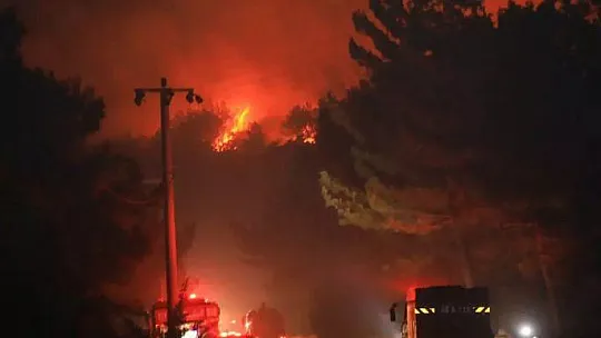 Datça'daki orman yangınından 17 konut olumsuz etkilendi