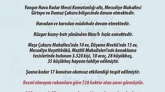 Datça'daki orman yangınından 17 konut olumsuz etkilendi